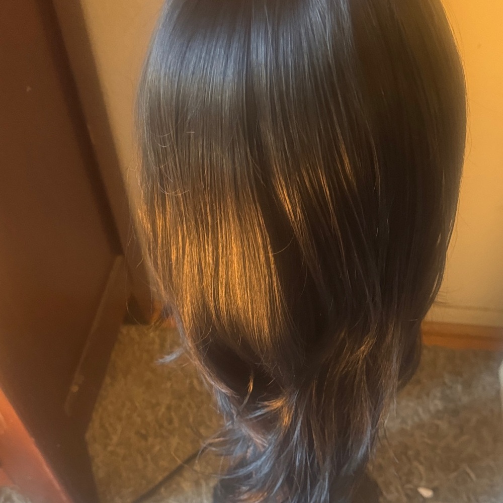 Sleek Black Women's Hair Wig